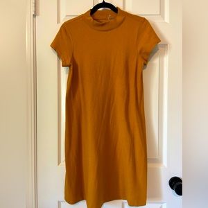Everlane dress